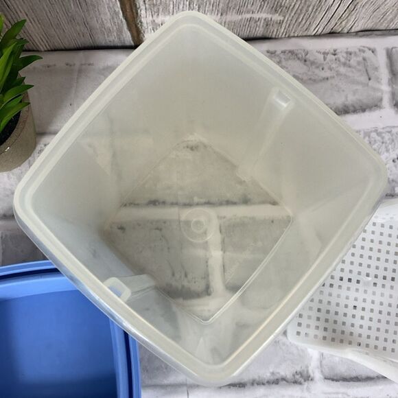 Tupperware Pickle Keeper - Picture 3 of 7